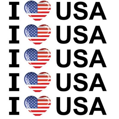 Sticker - 5x - I love USA - 19 x 4 cm - Amerika - landenthema