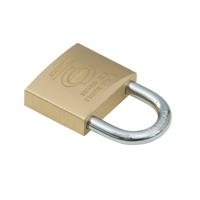 Nemef Hangslot 118070 | 2 sleutels | kastafmeting (bxhxd): 70 x 50 x 21 mm - 10042477