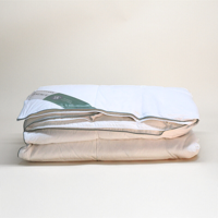 Dekbed Gerecycled Dons 4 Seizoenen - 4 Seizoenen & Zomer & Winter - 240x220 Cm (Lits-Jumeaux) - Presence 275 Gr Per M² (175 Gr + 100 Gr) - Dekbed-Discounter.nl