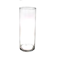 Hoge cilinder vaas/vazen van glas 40 x 15 cm    -