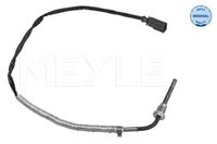 Sensor, uitlaatgastemperatuur 1148000209