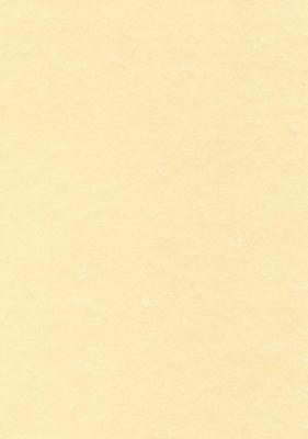 Decadry structuurpapier champagne, 165 g, pak van 50 vel