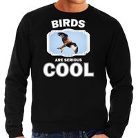 Sweater birds are serious cool zwart heren - arenden/ rode wouw roofvogel trui 2XL  -