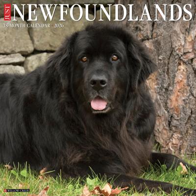 Newfoundlander Kalender 2026