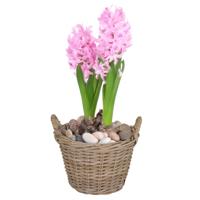 Planten/bloemen mand Levi - rotan - naturel - D20 x H16 cm - plantenpot voor buiten