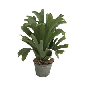 Hertshoorn in pot 43 cm kunstplant - Buitengewoon de boet