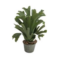 Hertshoorn in pot 43 cm kunstplant - Buitengewoon de boet