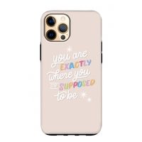 Right Place: iPhone 12 Pro Max Tough Case