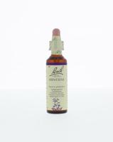 Bach Impatiens/reuzebalsemien