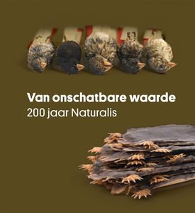 Van onschatbare waarde - - ebook