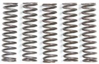 TRW koppelingsveer set clutch spring kit mef105-5