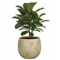 Mica decorations Bloempot / plantenpot Madeira - creme - terracotta - 14 cm - schubbenpatroon