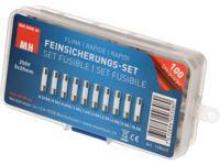 Max Hauri 128449 Buiszekering assortiment (Ø x l) 5 mm x 20 mm Snel -F- Inhoud 100 stuk(s) - thumbnail