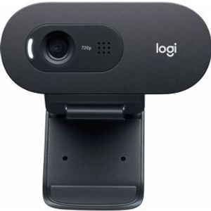 Logitech Webcam C505e