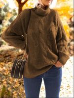 Casual Long Sleeve Turtleneck Sweater - thumbnail
