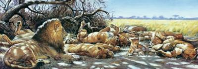 Kunstdruk Renato Casaro - After breakfast 99x34cm