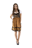 Dirndl Steampunk Jaquard de luxe