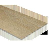 Douwes Dekker - Rigid PVC Stootbord honing 150x17,5cm (PVC)