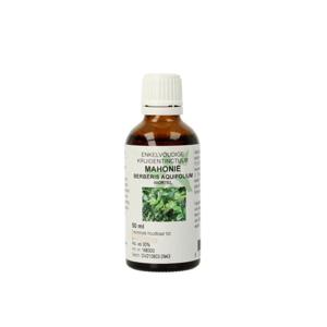 Natura Sanat Berberis aquifolium / mahonie wortel tinctuur