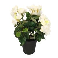 Kunstplant - Begonia - Wit - 30 cm - In Pot