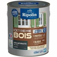 Grondverf Ripolin Grijs Gesatineerd 2,5 L