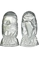 Handschoenen - Zilver