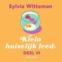 Klein huiselijk leed VI