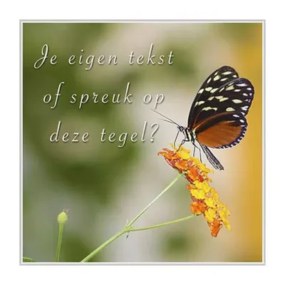 Vlinder (1) Tegeltje