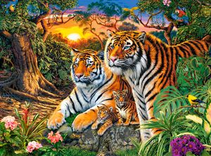 Castorland Tiger Family - 2000pcs