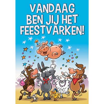 Wenskaarten Gefeliciteerd pak a 10 stuks Wenskaarten Gefeliciteerd pak a 10 stuks