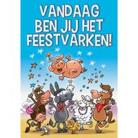 Wenskaarten Gefeliciteerd pak a 10 stuks Wenskaarten Gefeliciteerd pak a 10 stuks