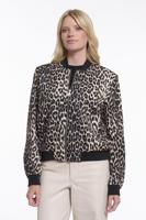 Rino&Pelle Jack Banner.7012621