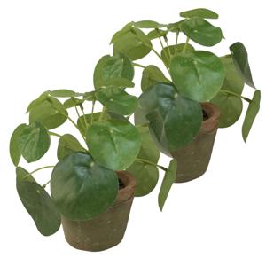 Kunstplant pilea/pannekoekplant - 2x - mini - groen - in pot - 13 cm