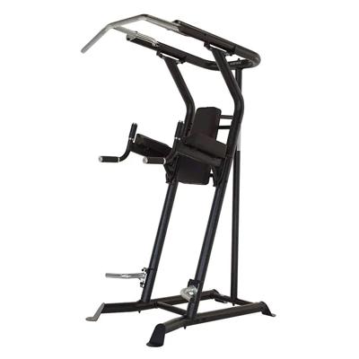Inspire VKR Power Tower Vertical knee raise
