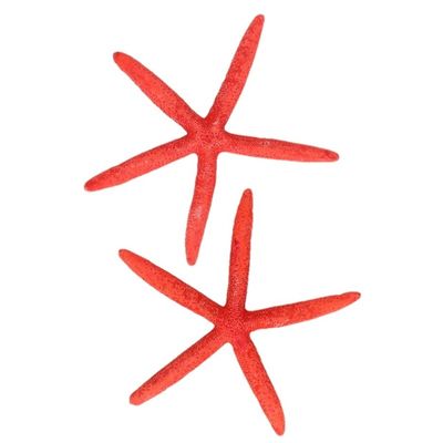 Woondecoratie zeesterren rood