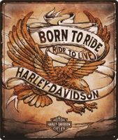 Harley Davidson Born to Ride Eagle wandplaat
