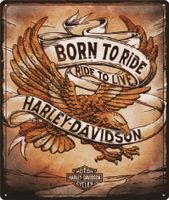 Harley Davidson Born to Ride Eagle wandplaat - thumbnail