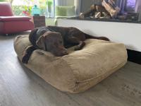 Dog's Companion® Hondenbed duo gold ribcord small