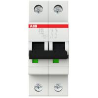 ABB 2CDS252001R0255 S202-B25 Zekeringautomaat 2-polig