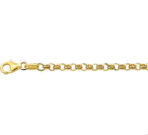 TFT Armband Goud Jasseron 3,3 mm 19 cm