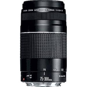 Canon EF DC 4,0-5,6/75-300 III 6473A015 Zoomobjectief