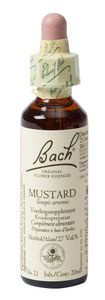 Bach Flower Remedies Herik 21