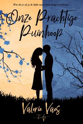 Onze prachtige puinhoop (Hardback)