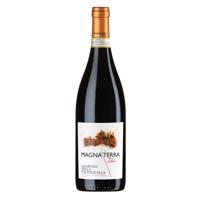 Magna Terra Amarone Della Valpolicella