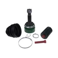 Homokineetset ADN18978