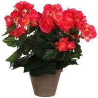 Donkerroze Begonia kunstplant 30 cm in grijze pot - thumbnail