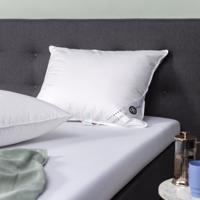 Hoofdkussen Dons 85% Eendenveren 60x70 Cm Anti Allergie & Anti Huisstofmijt & Ademend & Zacht & Medium & Rug Slaper & Zij Slaper Presence -
