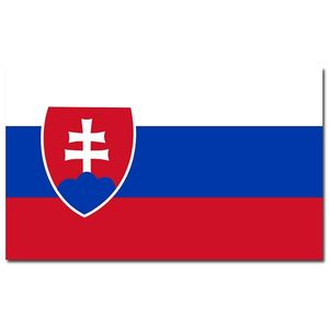Landen thema vlag Slowakije 90 x 150 cm feestversiering