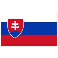 Landen thema vlag Slowakije 90 x 150 cm feestversiering - thumbnail