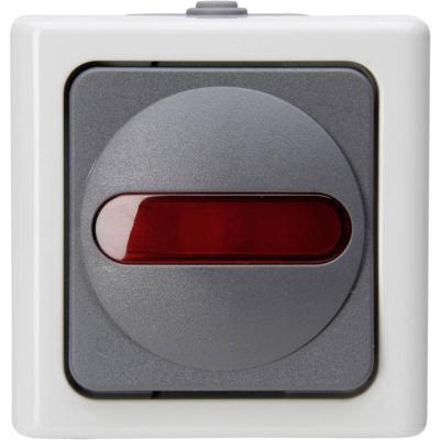 Kopp 561656007 BlueElectric Compleet Controleschakelaar spatwaterdicht Grijs 1 stuk(s)